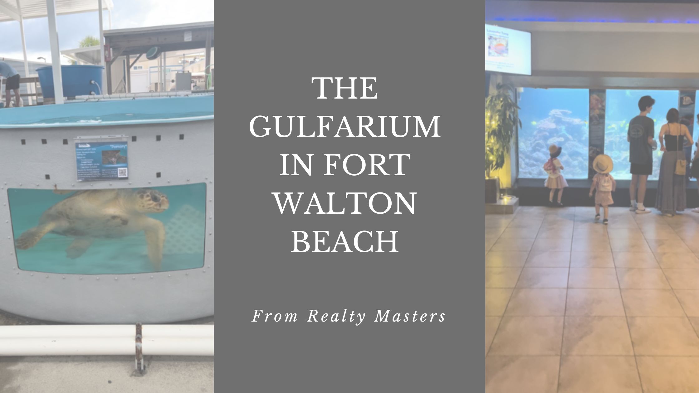 The Gulfarium in Fort Walton Beach, Florida